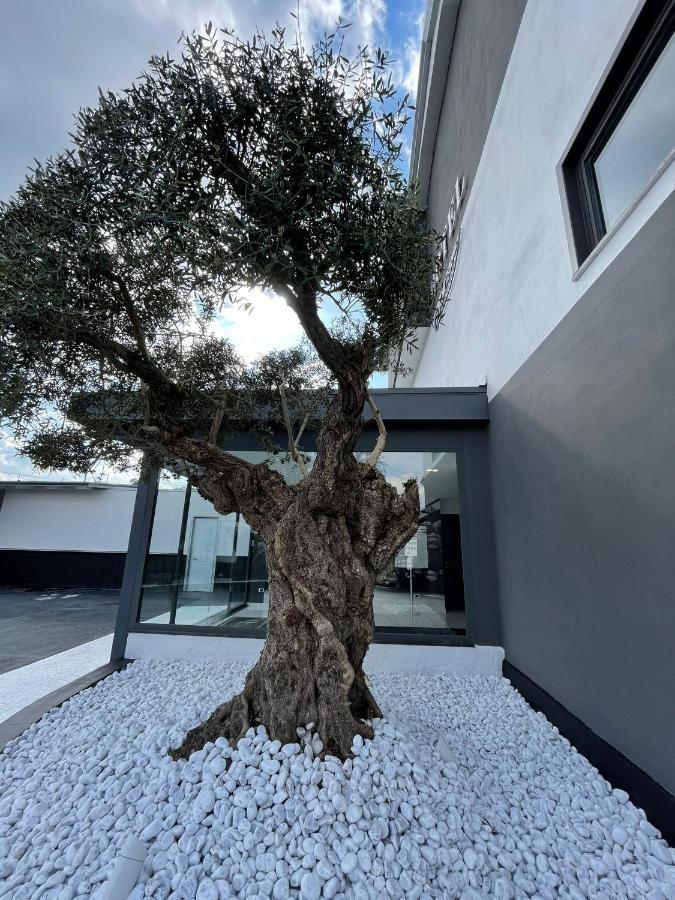 Hotel Cristian Giugliano In Campania Exterior photo